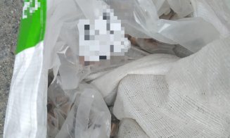 27.000 de lei, în 25 de minute! Atât a crezut că face un tânăr care a dat o spargere în Cluj