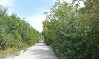 TUR GHIDAT în Parcul Est, chiar de către proiectanți. Urmează să fie cel mai amplu spațiu public verde din Cluj-Napoca