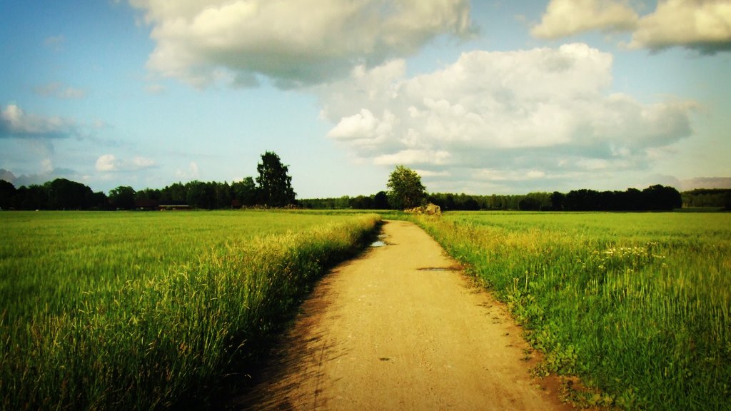 Meteorologii au emis noi atenţionări pentru weekend! Clujul, sub COD GALBEN de vreme extremă