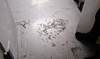 Magazinele LIDL din Cluj, amendate cu 340.000 de lei. ANPC a găsit produse expirate, mucegăite, preț mai mare ca la raft
