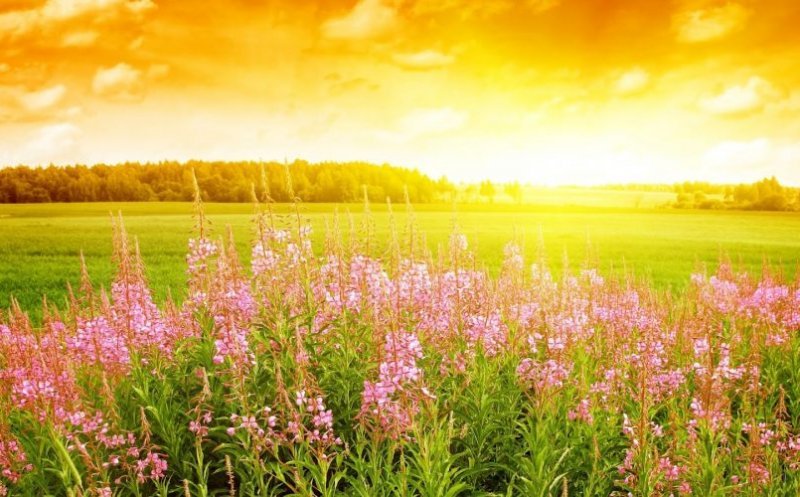 METEO: Cum va fi vremea în luna septembrie