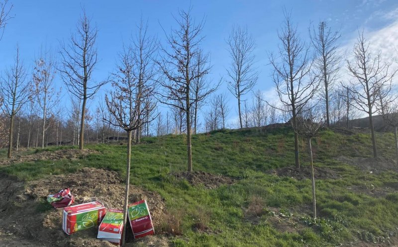 Constructorul cere mai mulți bani de la primărie pentru Pădurea Clujenilor