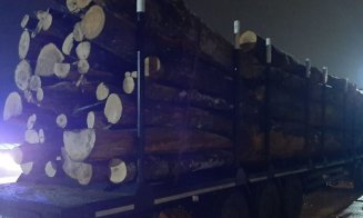 Camion cu lemne fără acte, oprit în Baciu, după o sesizare la 112