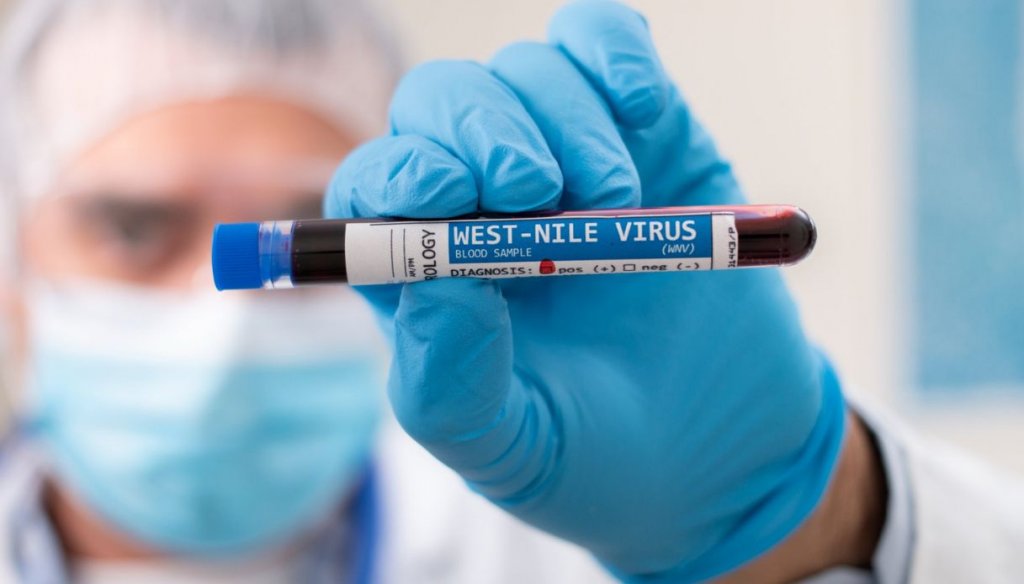 Ziua de Cluj | Încă trei cazuri cu West Nile în România/ Zonele cu cele mai multe infectări