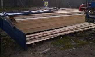 Percheziții de amploare la hoții de lemne dotaţi cu de toate, din Măguri-Răcătău