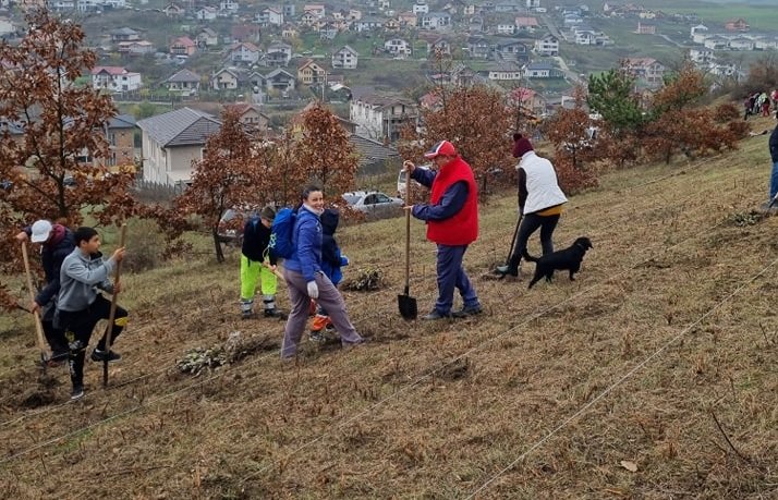 Acțiune de împădurire la Câmpenești. Au fost plantați stejari și frasini