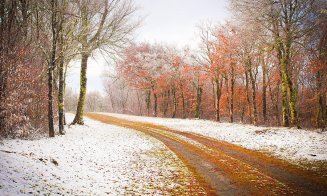 Vești noi de la meteorologi! Cum va fi vremea în minivacanţa de Sf. Andrei și 1 Decembrie