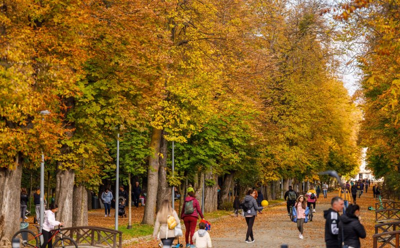 Toamnă superbă la Cluj-Napoca