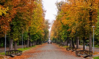 Toamnă superbă la Cluj-Napoca