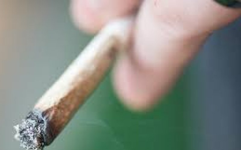 Studiu: Canabisul ar putea fi mai nociv pentru plămâni decât tutunul
