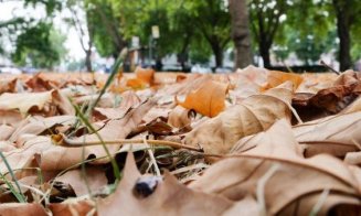 Descoperire macabră în Cluj-Napoca. Un bărbat a fost găsit spânzurat de un copac
