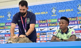 Brazilienii, puşi la zid de iubitorii de pisici. Ce a urmat după ce o pisică s-a urcat pe masă la conferința de presă