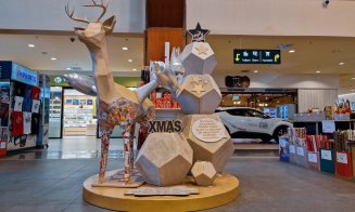 Tis the season to be ECO”: Eco-friendly workshops din hârtie reciclată pentru copii, la Iulius Mall Cluj
