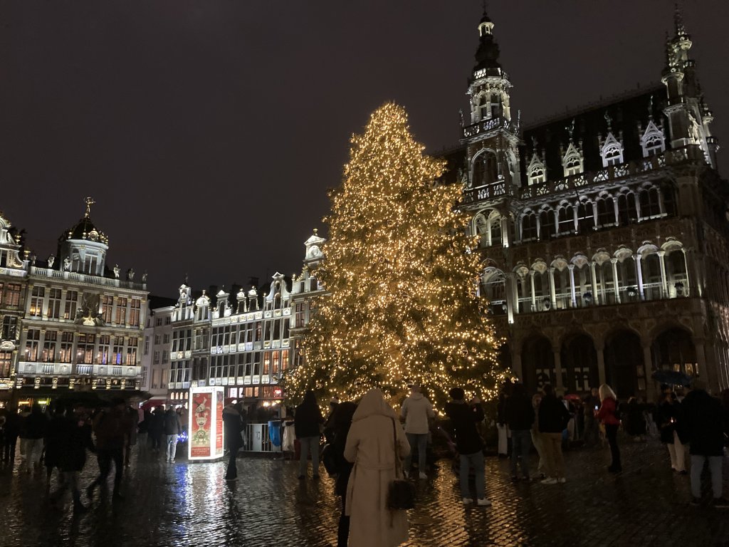 CORESPONDENȚĂ din Bruxelles |  Cum arată Târgul de Crăciun și cât costă mâncarea și cadourile de la căsuțe