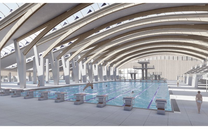 Cine vrea să construiască bazinul olimpic din Borhanci