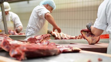 Amenzi de peste 2 milioane de lei înainte de Crăciun. Ce nereguli au găsit inspectorii sanitari veterinari?