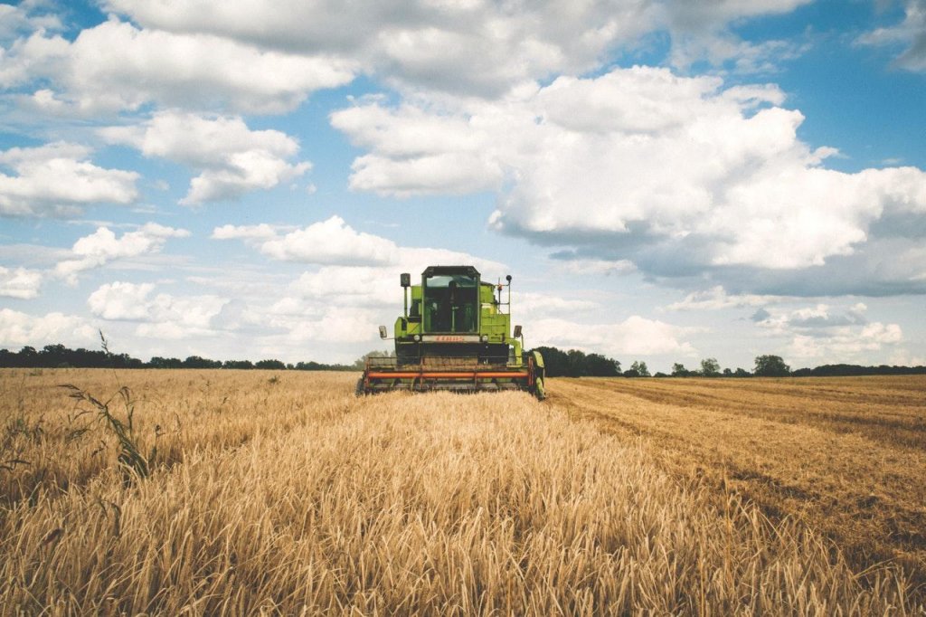 Cum afectează iarna blândă din Europa economia. Binecuvântare pentru sectorul energetic, blestem pentru agricultură