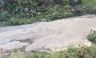 Pârâul Calvaria, poluat. Activist: „Pare să fie din cauza unor substanțe chimice folosite în zona La Terenuri”
