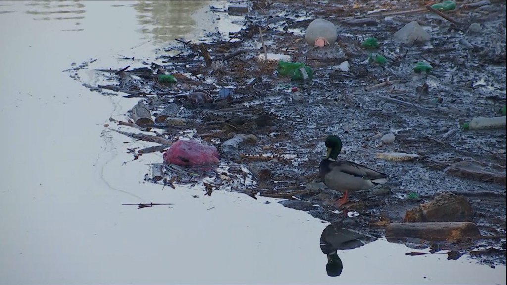 Lacul Gilău, plin de plastic. “PET-uri de bere. Of, urşii ăştia, câtă bere beau!”