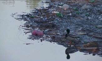 Lacul Gilău, plin de plastic. “PET-uri de bere. Of, urşii ăştia, câtă bere beau!”