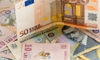 Firmele s-au „speriat” de creșterea dobânzii la lei și au luat credite în valută anul trecut