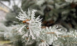 Prognoză meteo Cluj! Minime până la -20 grade celslius. Cât mai stă ciclonul polar peste țara noastră