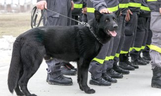 Zura și Akim, vor munci alături de voluntarii români pentru a găsi victimele prinse sub dărâmături în cutremurul din Turcia