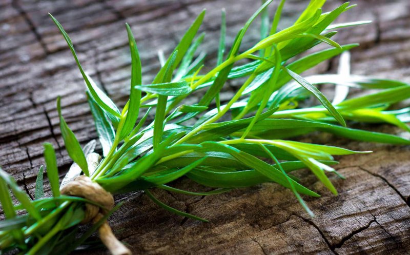 O plantă pe care toți o folosim în bucătărie poate face minuni pentru sănătate