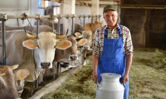 Crescătorii de bovine afectați de războiul din Ucraina primesc un sprijin de 217 mil. lei