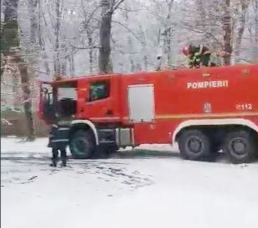 Copac căzut pe un drum din Cluj-Napoca