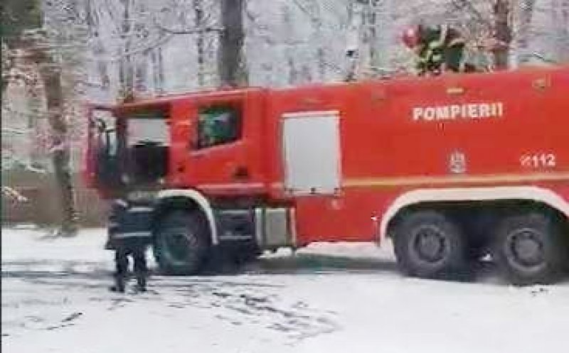 Copac căzut pe un drum din Cluj-Napoca