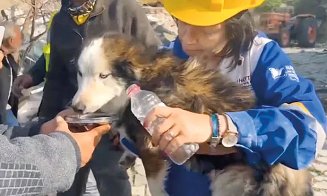 Scos în VIAŢĂ de sub dărâmături, la 23 de zile de la cutremurul din Turcia