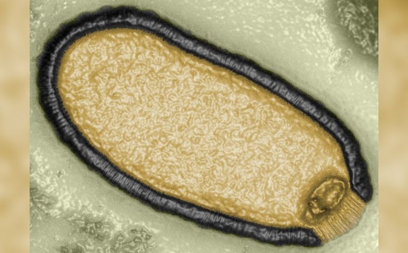 Pericolul de sub gheață! Încălzirea globală readuce la viață viruși și bacterii din preistorie. Specialiștii sunt în alertă