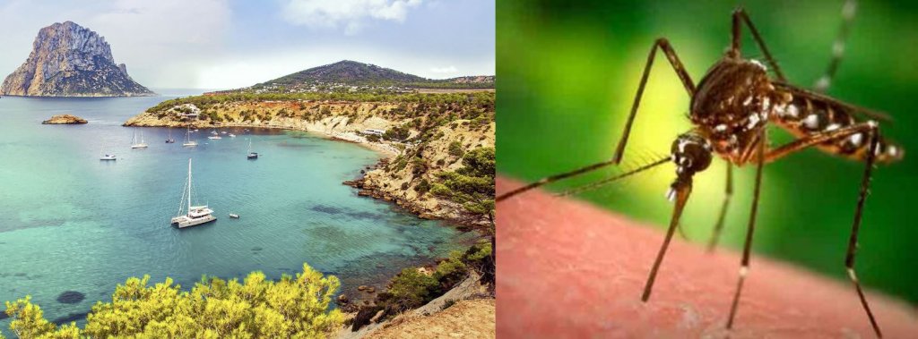 Alertă de febră Denga într-una dintre cele mai populare destinații turistice din Europa