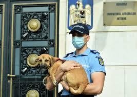 Poliția Animalelor, controale în tot județul Cluj. S-a lăsat cu amenzi usturătoare