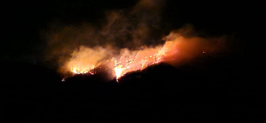 Pompierii se luptă de aproape o zi cu un incendiu care a păgubit 6 hectare
