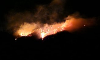 Pompierii se luptă de aproape o zi cu un incendiu care a păgubit 6 hectare
