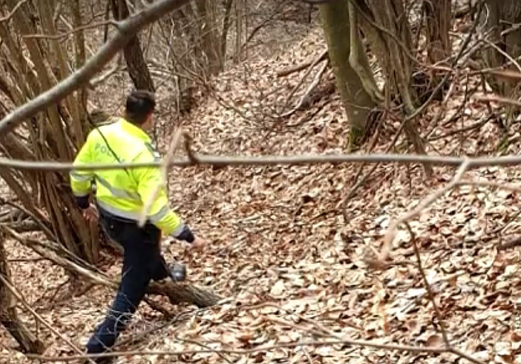Tânăr dat dispărut de 2 zile, găsit MORT într-o pădure din Cluj
