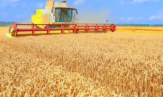 România este al doilea cel mai mare exportator de grâu din Uniunea Europeană. Peste 2 milioane de tone