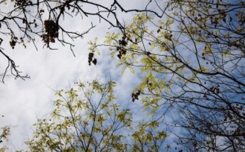 Vești noi de la meteorologi! Cum va fi vremea în  următoarele patru săptămâni