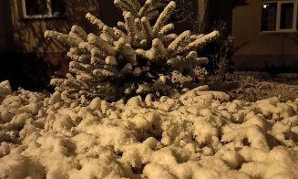 Valul POLAR a adus zăpada din nou la Cluj. Temperaturi în țară între -10 și 0 grade Celsius