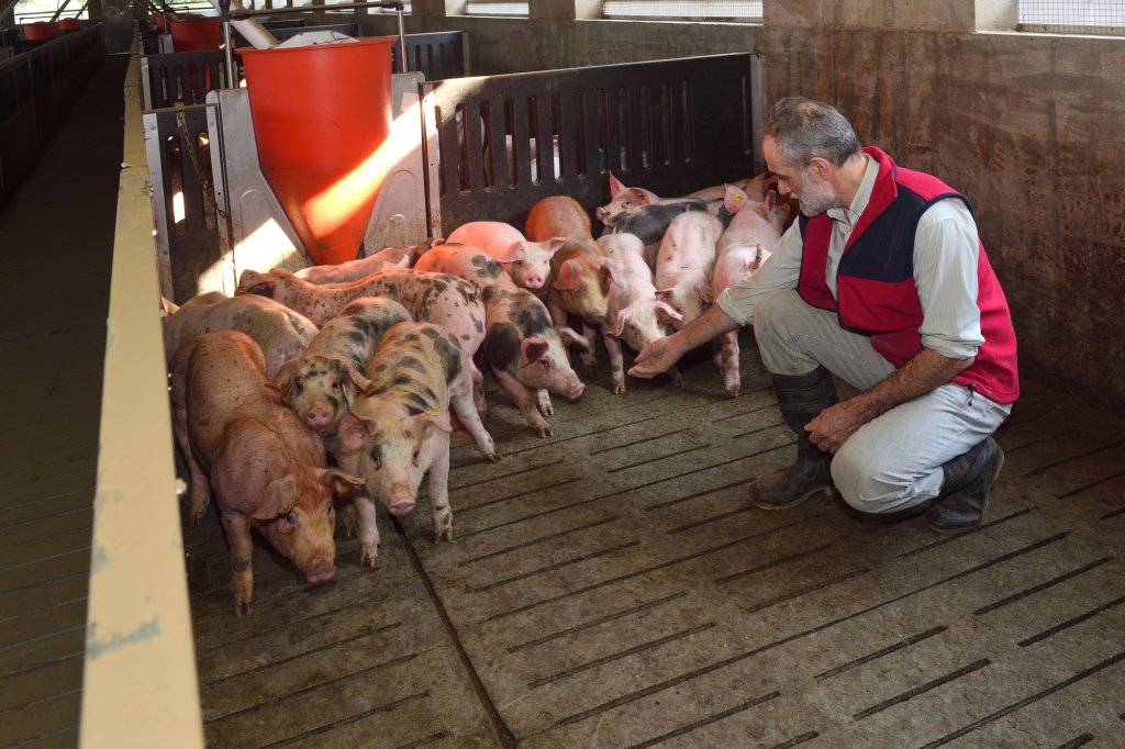 Peste 400 de fermieri primesc 105 milioane de euro de la APIA