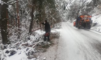 Iarna nu se lasă dusă de la Cluj! Un nou copac căzut pe un drum în zona de munte a județului