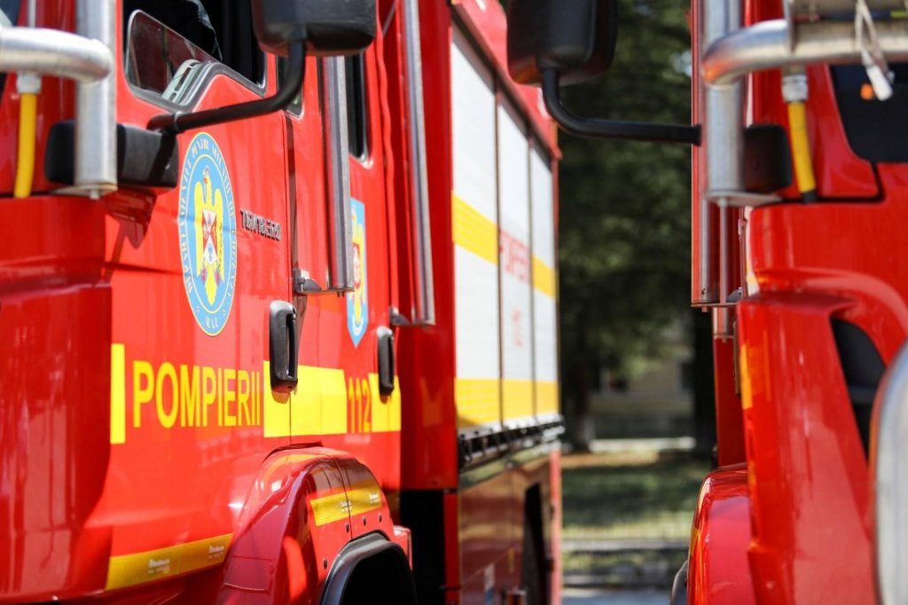 Cluj: Cal căzut într-un pârâu. Intervin pompierii