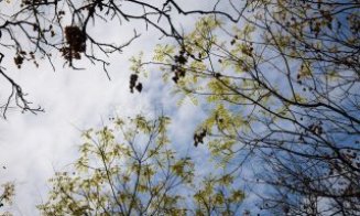 Vești noi de la meteorologi! Vremea se încălzește, dar vin ploi și vijelii