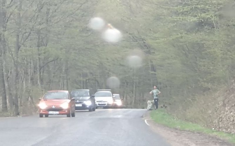 "În a doua zi de Paști, un clujean făcea ecologizare în Borhanci singur, de capul lui"