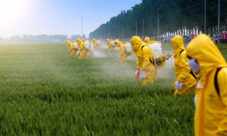AEM insistă pe reducerea utilizării pesticidelor: "E îngrijorător că au fost detectate în concentrații mai mari la copii decât la adulți"