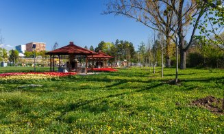 Două locuri de picnic, pregătite pentru clujeni de 1 Mai. Boc: "Grătar încins!"