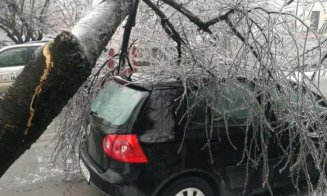 Furtuna a lăsat dezastru în urma ei. Mai multe mașini din Cluj-Napoca au fost distruse de copaci