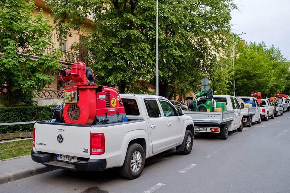 Acțiune de dezinsecție în Cluj-Napoca. Cu ce se va stropi